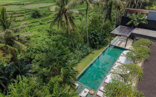 Villa Palmito | Villa 6 chambres à louer | Ubud – Mas