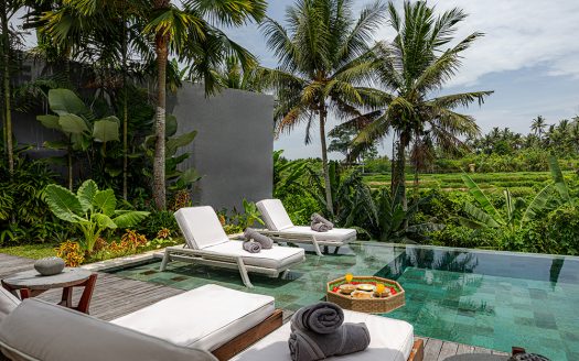Villa Palmito | Villa 6 chambres à louer | Ubud – Mas