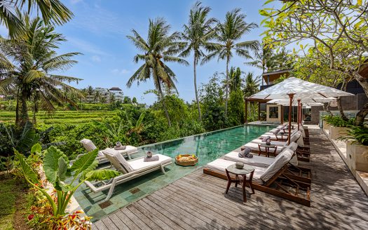 Villa Palmito | Villa 6 chambres à louer | Ubud – Mas