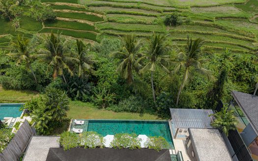 Villa Palmito | Villa 6 chambres à louer | Ubud – Mas