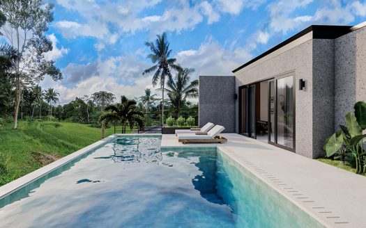 VV9577 | Villa 2 chambres à vendre | Ubud - Tegallalang - Villas à vendre par Bali Immobilier