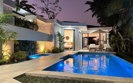 VV9590 | Villa 2 chambres à vendre | Ubud - Tegallalang - Villas à vendre par Bali Immobilier