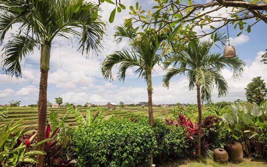 VV9644 | Villa 4 chambres à vendre | Canggu – Padang Tawang