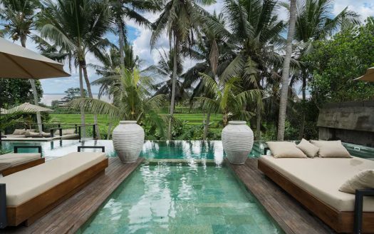 VV9648 | Villa 6 chambres à vendre | Ubud – Mas