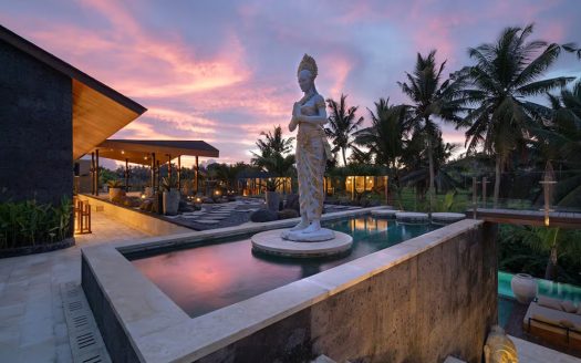 VV9648 | Villa 6 chambres à vendre | Ubud – Mas