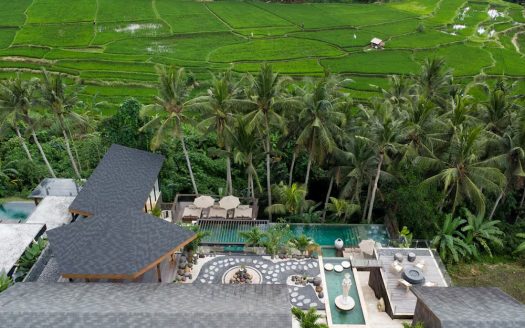 VV9648 | Villa 6 chambres à vendre | Ubud – Mas